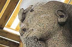 Голова колосса Аменхотепа III из Ком эль-Хеттана. Луксор, Музей египетского искусства
