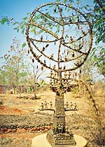 Дерево кальпа у племени мария. Музей человека. Бхопал, штат Мадхьяпрадеш