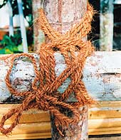 Из кокосового волокна делают веревки и канаты, матрацы и коврики, щетки и кисточки...