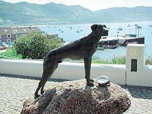 Памятник собаке по кличке «Заколебал». ЮАР