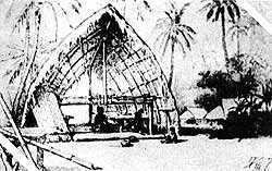 Папуасское жилище