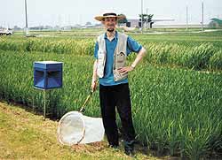 Автор на рисовом поле возле города Цукуба